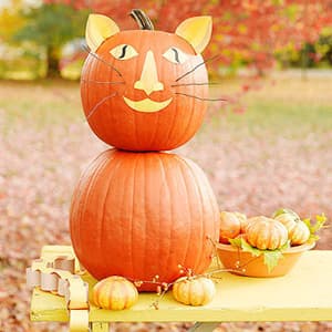 catpumpkin
