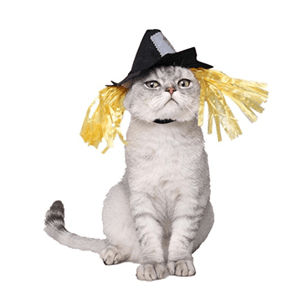 catcostume