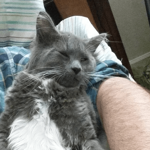 sybil