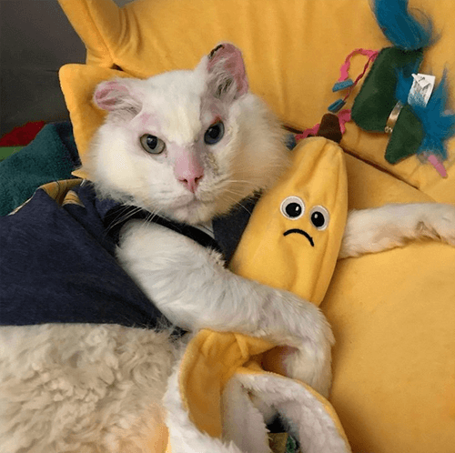 banana