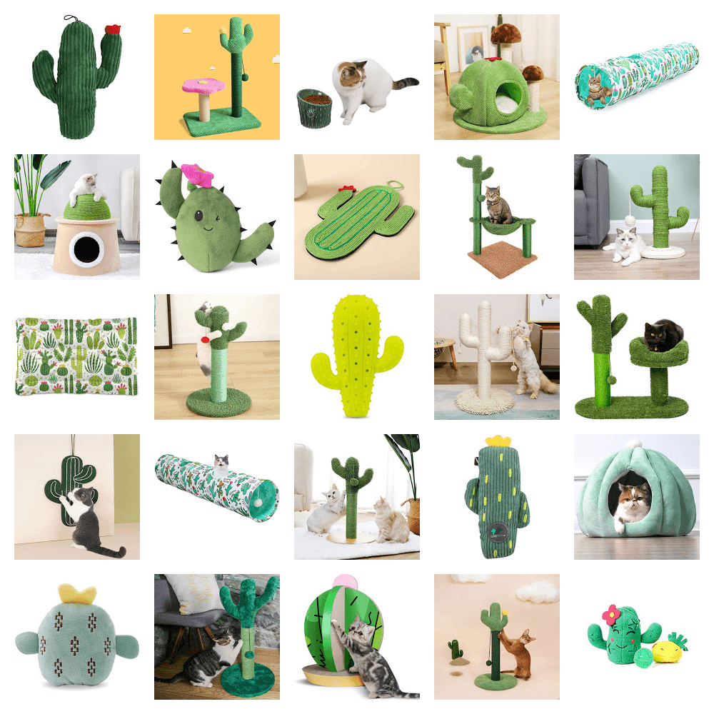 cactus feature