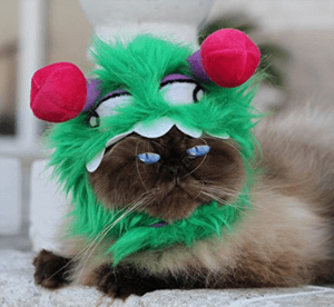 catcostume