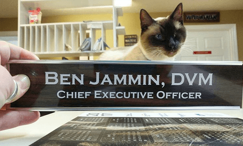 ben