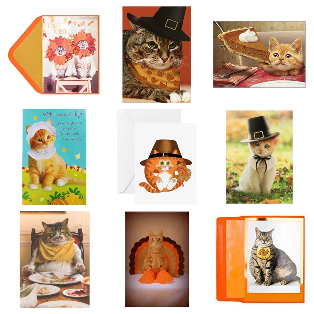 thanksiving greeting cards cats feature