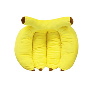 catbed