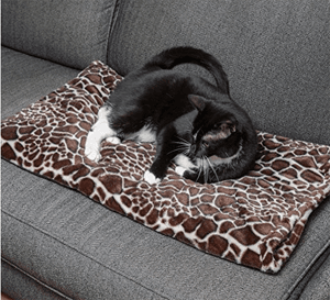 catbed