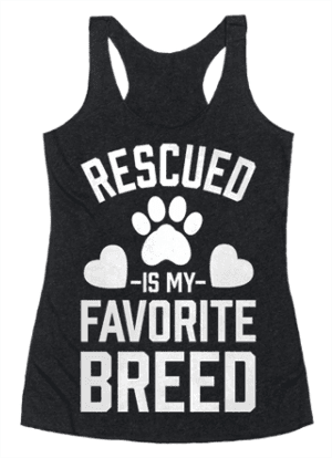 catshirt