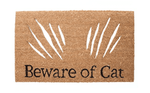 catdoormat