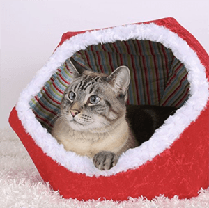 cathouse