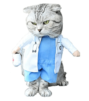 catcostume