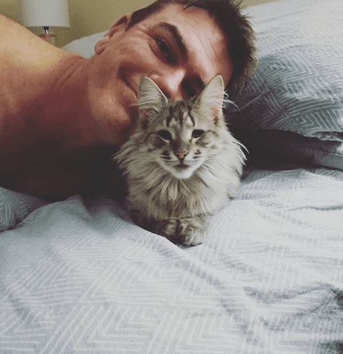 muffin