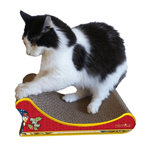 cathouse