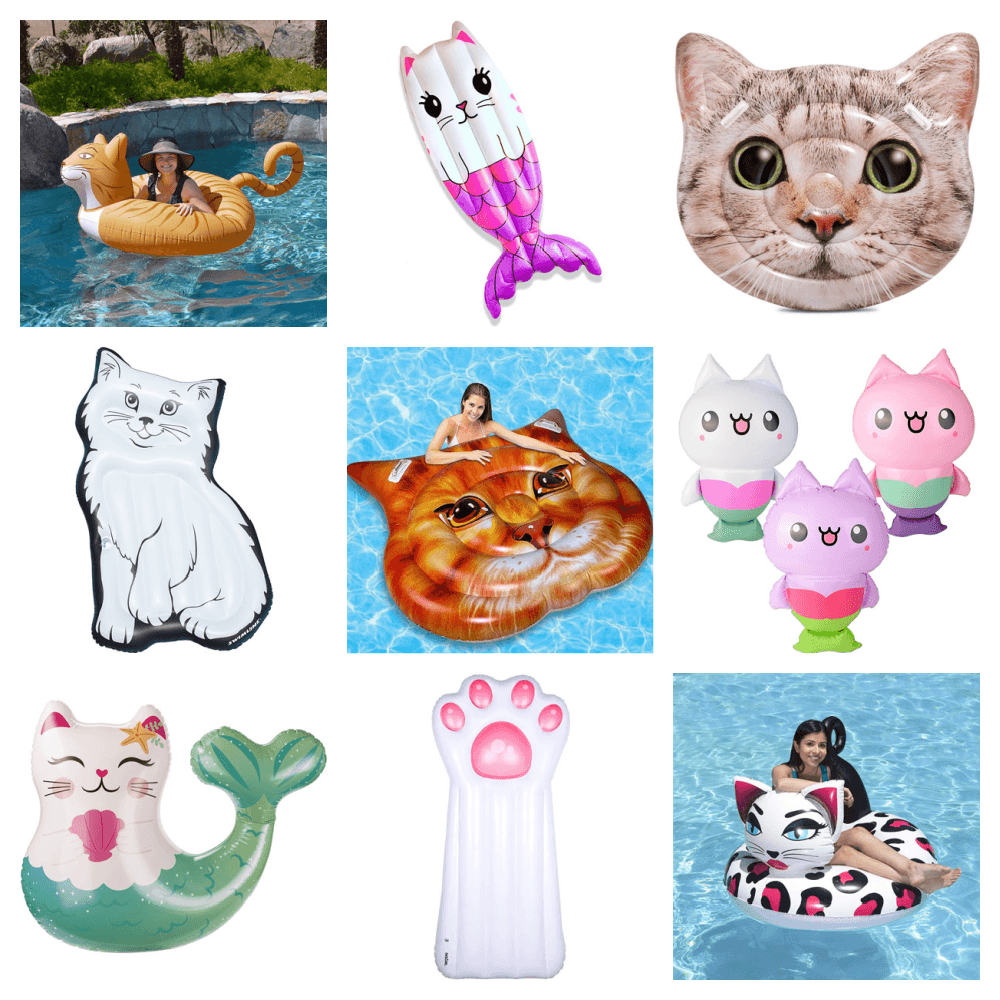 catpooltoysfeature