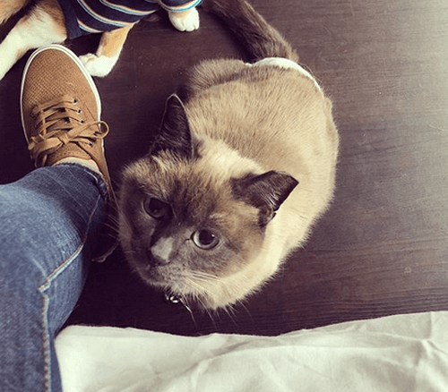 sabrina