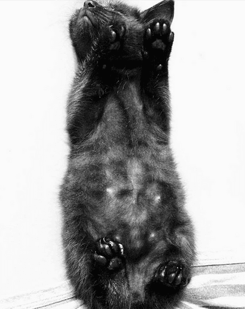 inky