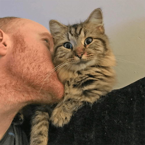 hazel