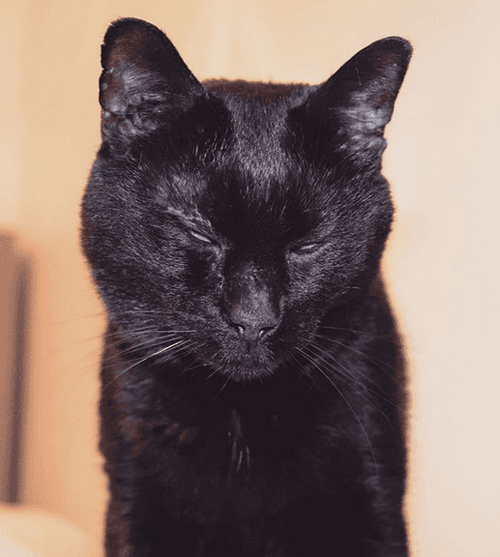 murdock