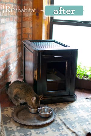 12_Litter-Box-1_-_photo_by_Rachael_Ranney