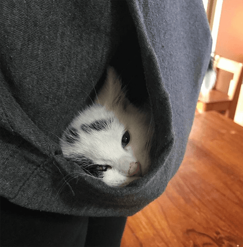 winston