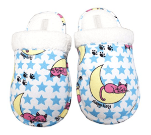 catslippers