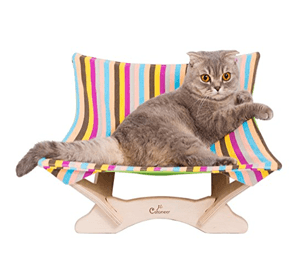 catbed