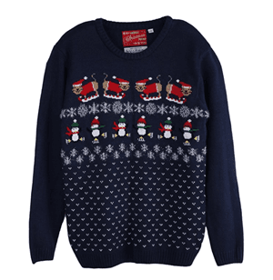 christmassweatercat