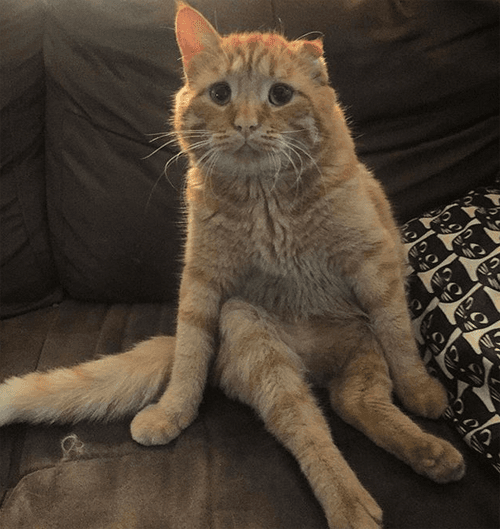 benben