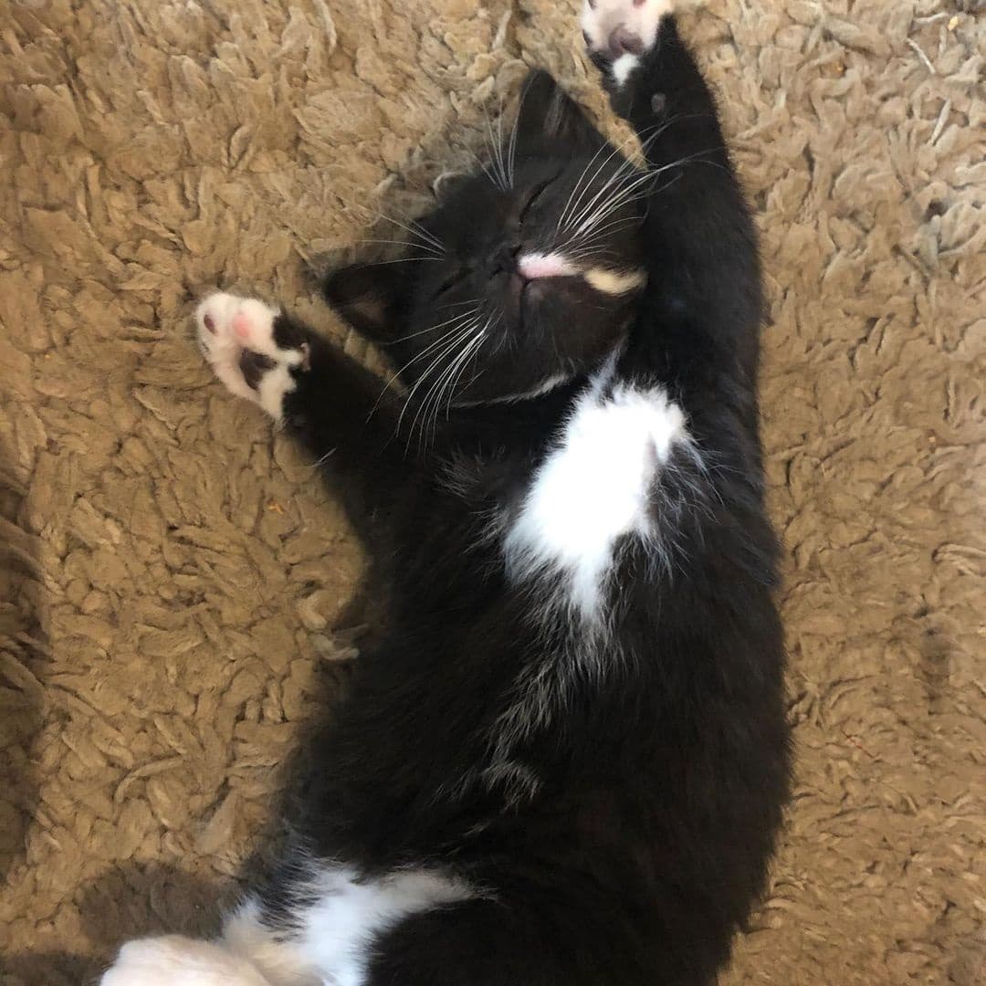 smudge