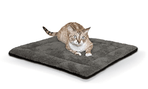 catbed