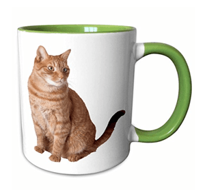 orangecatmug