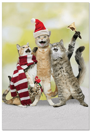 catchristmascards
