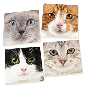 coasters