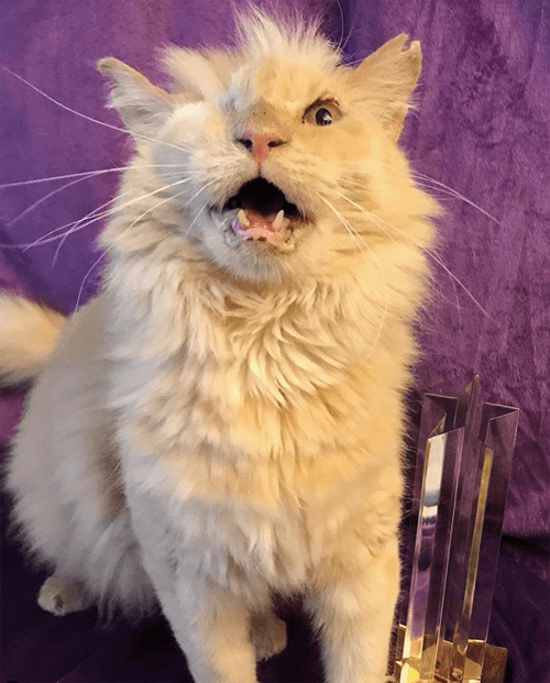 thomas