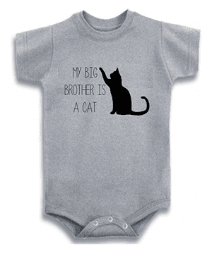 catonesies