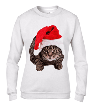 catsweatshirt