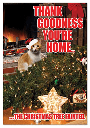 catchristmascards