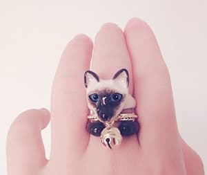 catring
