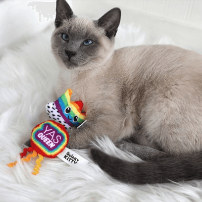 rainbow yas queen catnip toys for pride