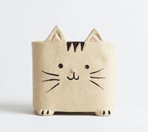 catplanter