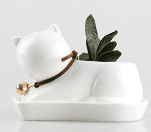 catplanter
