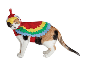 catcostume