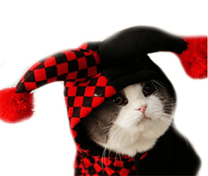 catcostume