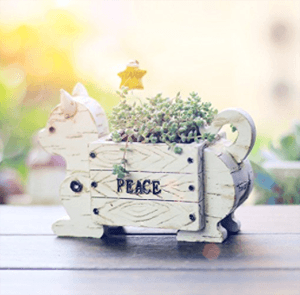catplanter