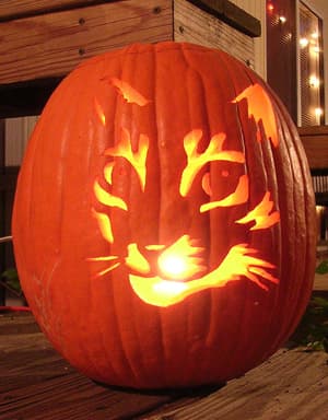 catpumpkin