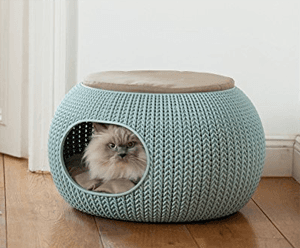 catbed