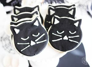 catcookies