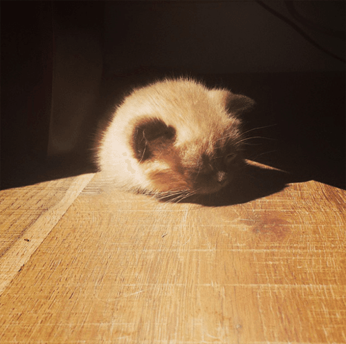 mili