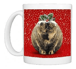 catchristmasmug