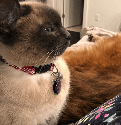 sabrina