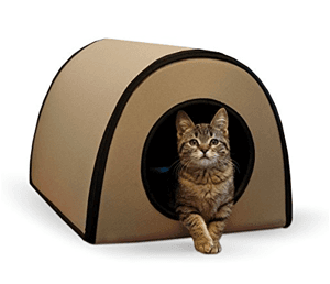 cathouse